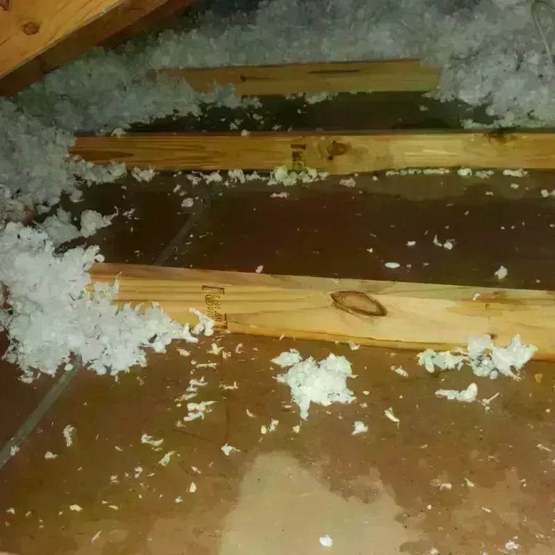 Attic Water Damage in Cherokee County, TX