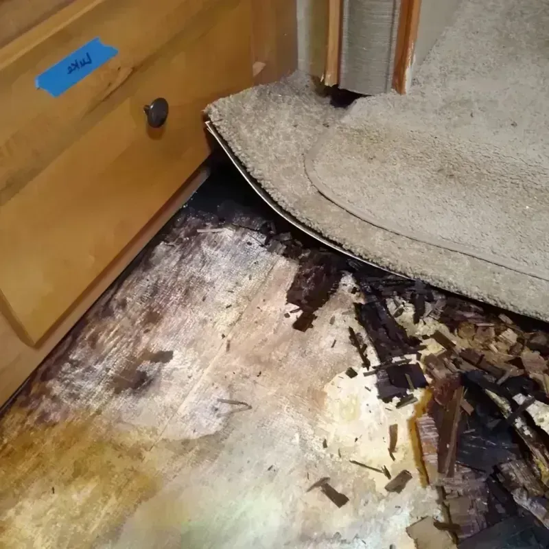 Wood Floor Water Damage in Cherokee County, TX